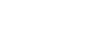 bug capa 8